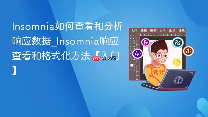 insomnia如何查看和分析响应数据_insomnia响应查看和格式化方法【入门】