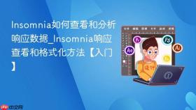 Insomnia如何查看和分析响应数据_Insomnia响应查看和格式化方法【入门】