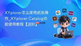 XYplorer怎么使用纸张操作_XYplorer Catalog功能使用教程【进阶】