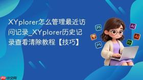 XYplorer怎么管理最近访问记录_XYplorer历史记录查看清除教程【技巧】