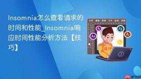 insomnia怎么查看请求的时间和性能_insomnia响应时间性能分析方法【技巧】