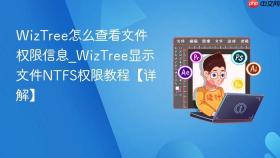 wiztree怎么查看文件权限信息_wiztree显示文件ntfs权限教程【详解】