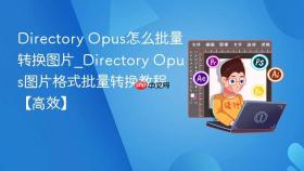 directory opus怎么批量转换图片_directory opus图片格式批量转换教程【高效】