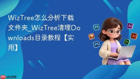 wiztree怎么分析下载文件夹_wiztree清理downloads目录教程【实用】