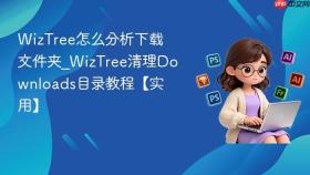 WizTree怎么分析下载文件夹_WizTree清理Downloads目录教程【实用】