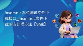 insomnia怎么测试文件下载接口_insomnia文件下载响应处理方法【实战】