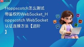 hoppscotch怎么测试带鉴权的websocket_hoppscotch websocket认证连接方法【进阶】