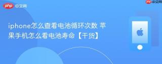 iphone怎么查看电池循环次数 苹果手机怎么看电池寿命【干货】