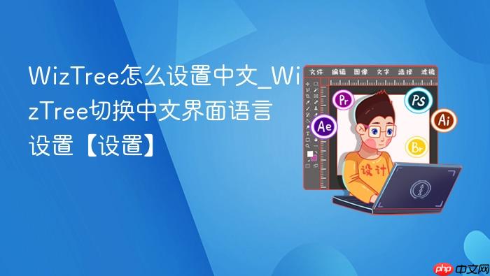 wiztree怎么设置中文_wiztree切换中文界面语言设置【设置】