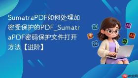 SumatraPDF如何处理加密受保护的PDF_SumatraPDF密码保护文件打开方法【进阶】