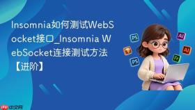 insomnia如何测试websocket接口_insomnia websocket连接测试方法【进阶】