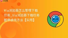 via浏览器怎么管理下载任务_via浏览器下载任务暂停续传方法【实用】