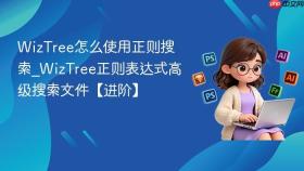 wiztree怎么使用正则搜索_wiztree正则表达式高级搜索文件【进阶】