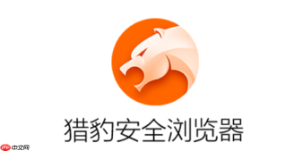猎豹浏览器如何使用网页视频下载_猎豹浏览器网页视频下载实践