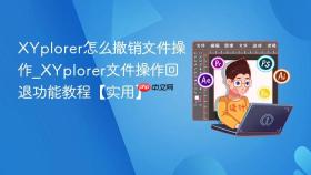 xyplorer怎么撤销文件操作_xyplorer文件操作回退功能教程【实用】