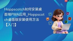 hoppscotch如何安装桌面端pwa应用_hoppscotch桌面版安装使用方法【入门】