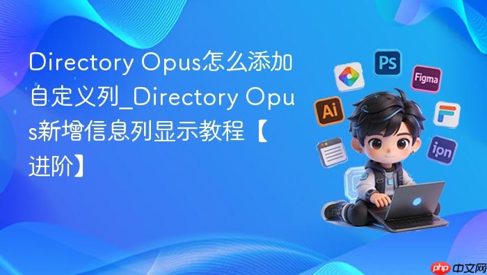 directory opus怎么添加自定义列_directory opus新增信息列显示教程【进阶】