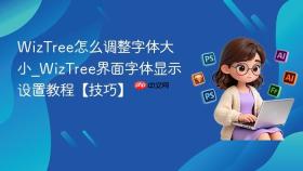 WizTree怎么调整字体大小_WizTree界面字体显示设置教程【技巧】