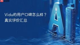 vidu的用户口碑怎么样？真实评价汇总