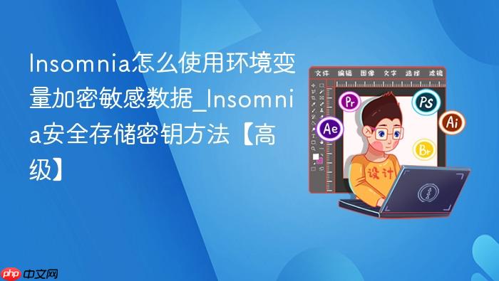 insomnia怎么使用环境变量加密敏感数据_insomnia安全存储密钥方法【高级】