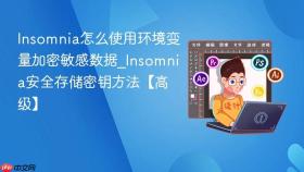 insomnia怎么使用环境变量加密敏感数据_insomnia安全存储密钥方法【高级】