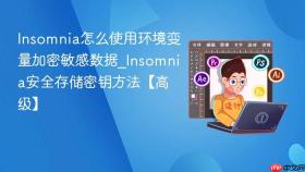 Insomnia怎么使用环境变量加密敏感数据_Insomnia安全存储密钥方法【高级】