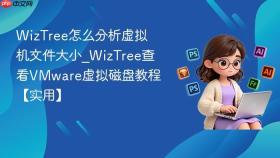 wiztree怎么分析虚拟机文件大小_wiztree查看vmware虚拟磁盘教程【实用】