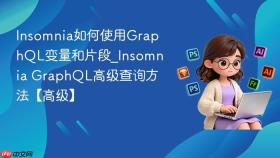 Insomnia如何使用GraphQL变量和片段_Insomnia GraphQL高级查询方法【高级】