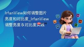 irfanview如何调整图片亮度和对比度_irfanview调整亮度与对比度实践