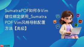 sumatrapdf如何与vim键位绑定使用_sumatrapdf vim风格导航配置方法【高级】