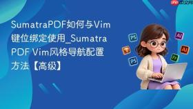 SumatraPDF如何与Vim键位绑定使用_SumatraPDF Vim风格导航配置方法【高级】