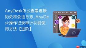 anydesk怎么查看连接历史和会话日志_anydesk操作记录审计功能使用方法【进阶】