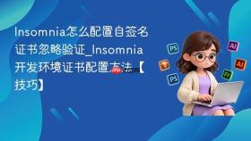 Insomnia怎么配置自签名证书忽略验证_Insomnia开发环境证书配置方法【技巧】