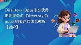 directory opus怎么使用正则重命名_directory opus正则表达式改名教程【进阶】
