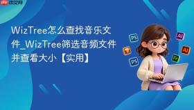 wiztree怎么查找音乐文件_wiztree筛选音频文件并查看大小【实用】