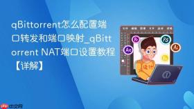 qbittorrent怎么配置端口转发和端口映射_qbittorrent nat端口设置教程【详解】