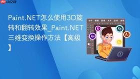 Paint.NET怎么使用3D旋转和翻转效果_Paint.NET三维变换操作方法【高级】