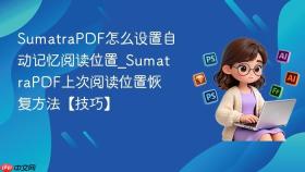 SumatraPDF怎么设置自动记忆阅读位置_SumatraPDF上次阅读位置恢复方法【技巧】
