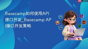 basecamp如何使用api接口开发_basecamp api接口开发策略