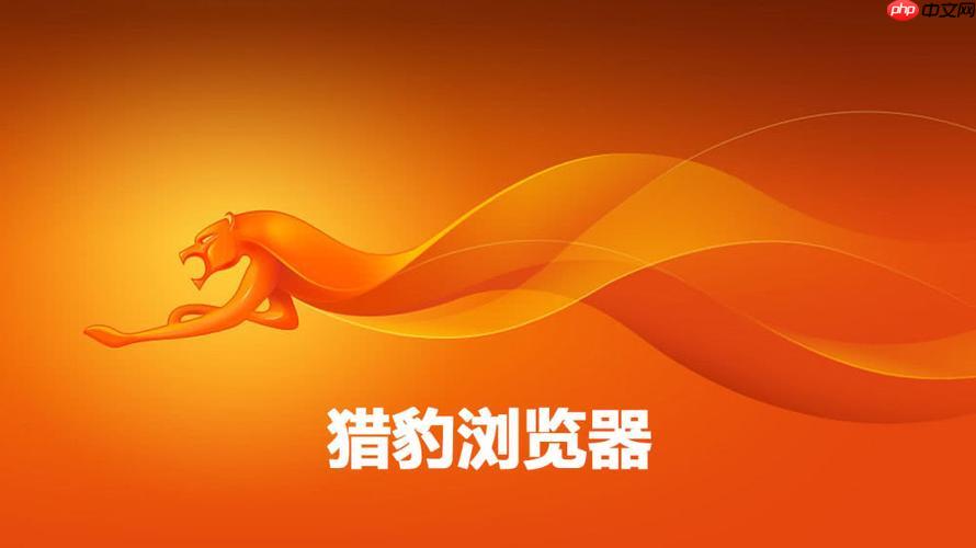 猎豹浏览器怎么设置字体大小_猎豹浏览器网页字体调整方法教程【简单】