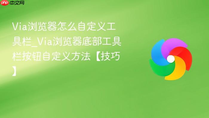 via浏览器怎么自定义工具栏_via浏览器底部工具栏按钮自定义方法【技巧】