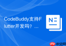 CodeBuddy支持Flutter开发吗？