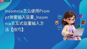 Insomnia怎么使用Prompt弹窗输入变量_Insomnia交互式变量输入方法【技巧】