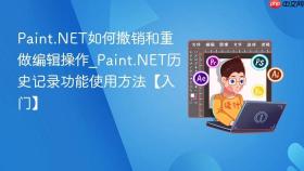 paint.net如何撤销和重做编辑操作_paint.net历史记录功能使用方法【入门】