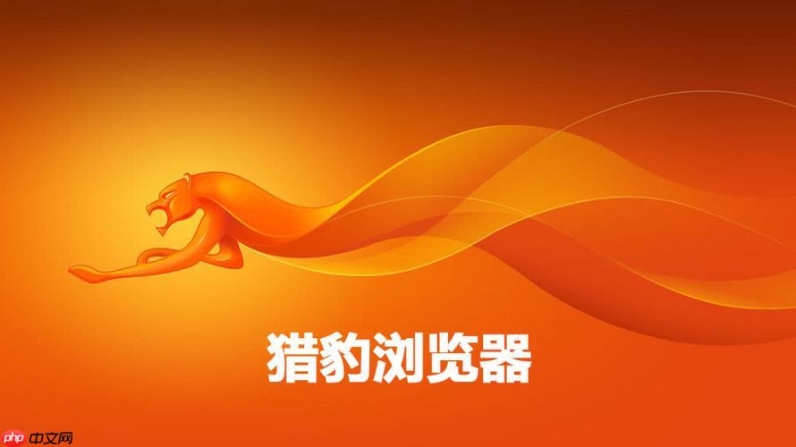 猎豹浏览器怎么设置搜索引擎_猎豹浏览器默认搜索切换方法教程【详解】
