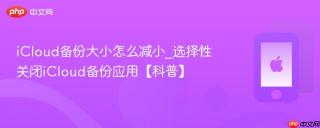 icloud备份大小怎么减小_选择性关闭icloud备份应用【科普】