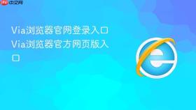 Via浏览器官网登录入口 Via浏览器官方网页版入口