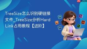 TreeSize怎么识别硬链接文件_TreeSize分析Hard Link占用教程【进阶】