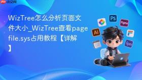 WizTree怎么分析页面文件大小_WizTree查看pagefile.sys占用教程【详解】