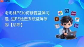老毛桃PE如何修复蓝屏问题_进PE检查系统蓝屏原因【诊断】